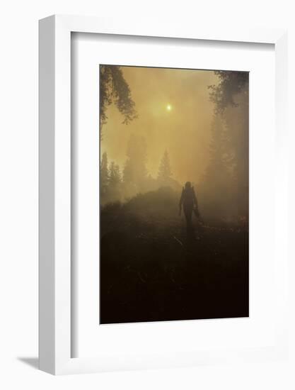 Forest Fire, Sequoia and Kings Canyon National Park, California, USA-Gerry Reynolds-Framed Photographic Print