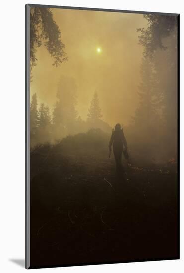 Forest Fire, Sequoia and Kings Canyon National Park, California, USA-Gerry Reynolds-Mounted Photographic Print