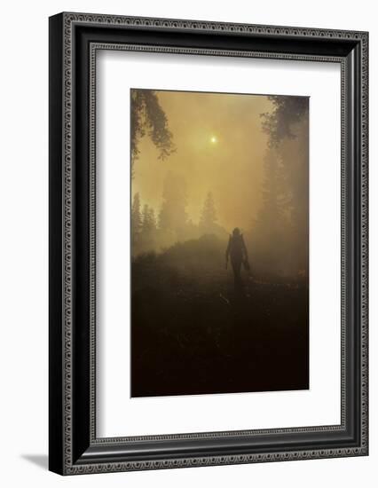 Forest Fire, Sequoia and Kings Canyon National Park, California, USA-Gerry Reynolds-Framed Photographic Print