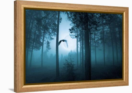 Forest Flight-Andreas Stridsberg-Framed Stretched Canvas