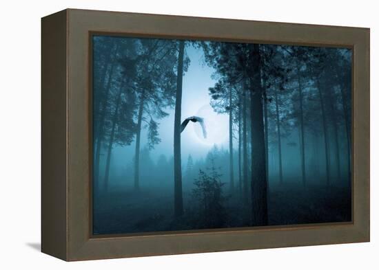 Forest Flight-Andreas Stridsberg-Framed Stretched Canvas