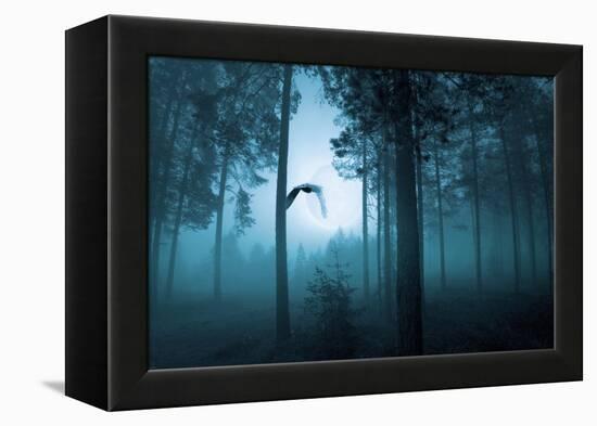 Forest Flight-Andreas Stridsberg-Framed Stretched Canvas