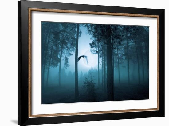 Forest Flight-Andreas Stridsberg-Framed Art Print