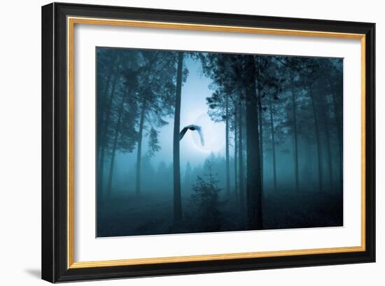 Forest Flight-Andreas Stridsberg-Framed Art Print