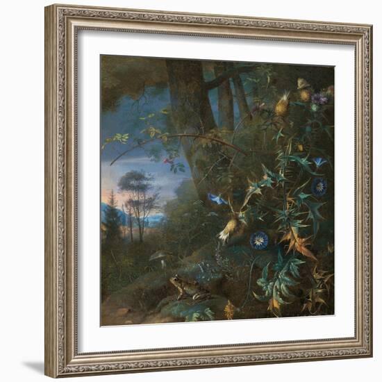 Forest Floor Still Life with a Frog and a Mushroom, Mountains Beyond-Matthias Withoos-Framed Giclee Print