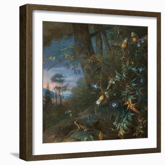 Forest Floor Still Life with a Frog and a Mushroom, Mountains Beyond-Matthias Withoos-Framed Giclee Print