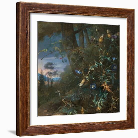 Forest Floor Still Life with a Frog and a Mushroom, Mountains Beyond-Matthias Withoos-Framed Giclee Print