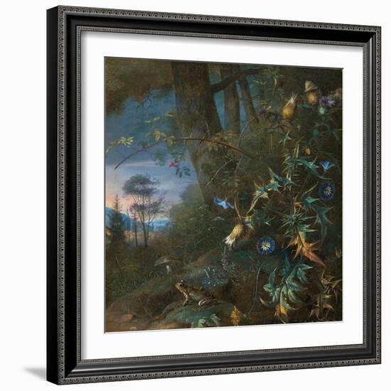 Forest Floor Still Life with a Frog and a Mushroom, Mountains Beyond-Matthias Withoos-Framed Giclee Print