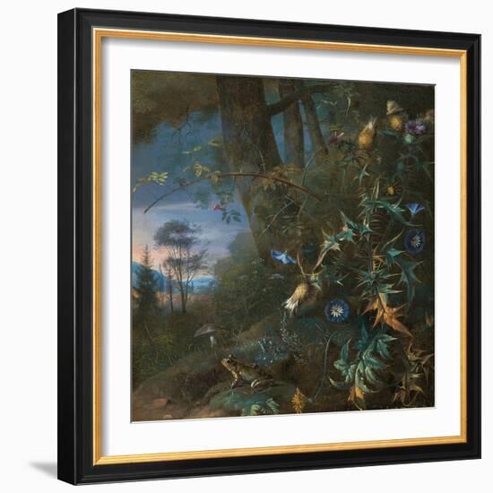 Forest Floor Still Life with a Frog and a Mushroom, Mountains Beyond-Matthias Withoos-Framed Giclee Print