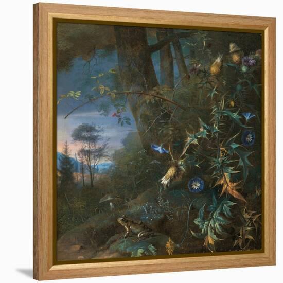 Forest Floor Still Life with a Frog and a Mushroom, Mountains Beyond-Matthias Withoos-Framed Premier Image Canvas