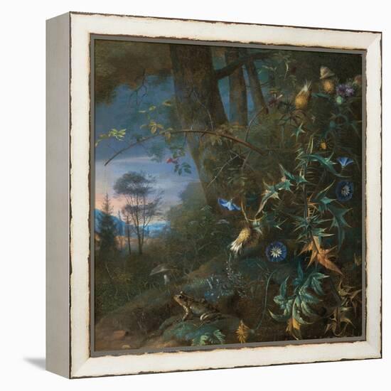 Forest Floor Still Life with a Frog and a Mushroom, Mountains Beyond-Matthias Withoos-Framed Premier Image Canvas