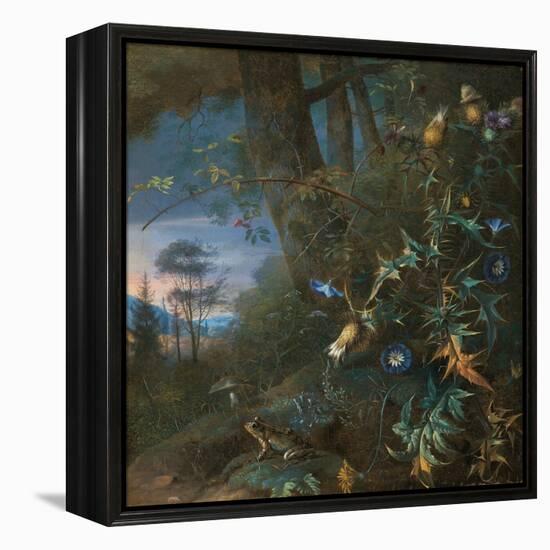 Forest Floor Still Life with a Frog and a Mushroom, Mountains Beyond-Matthias Withoos-Framed Premier Image Canvas