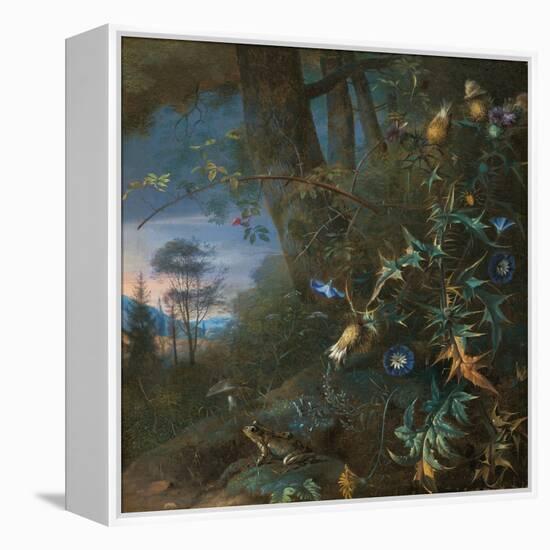 Forest Floor Still Life with a Frog and a Mushroom, Mountains Beyond-Matthias Withoos-Framed Premier Image Canvas