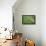 Forest Floor, Trunk, Wild Garlic-Rainer Mirau-Framed Premier Image Canvas displayed on a wall