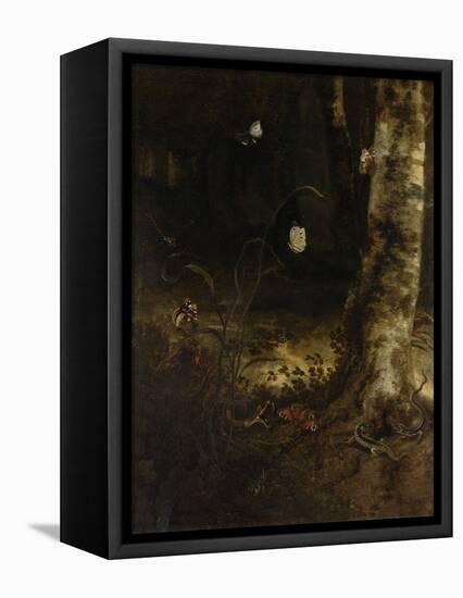 Forest Floor with a Snake, Lizards, Butterflies and Other Insects-Otto Marseus Van Schrieck-Framed Stretched Canvas