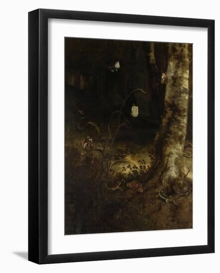 Forest Floor with a Snake, Lizards, Butterflies and Other Insects-Otto Marseus Van Schrieck-Framed Art Print