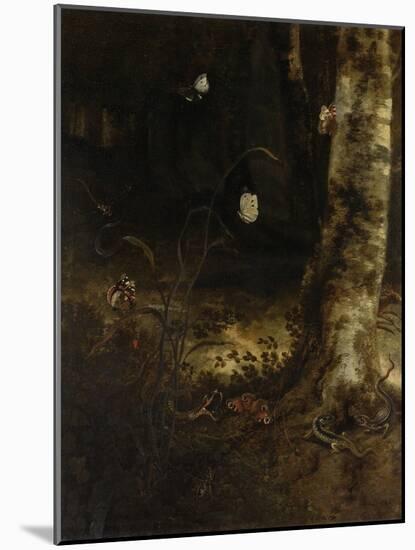 Forest Floor with a Snake, Lizards, Butterflies and Other Insects-Otto Marseus Van Schrieck-Mounted Art Print