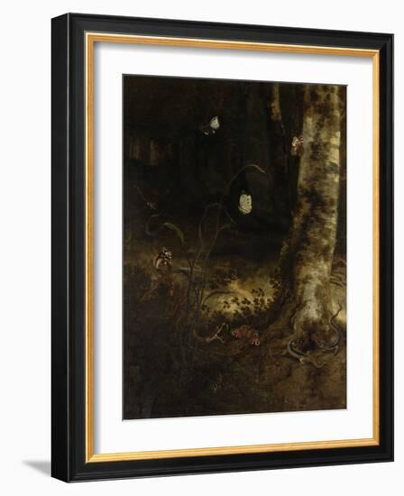 Forest Floor with a Snake, Lizards, Butterflies and Other Insects-Otto Marseus Van Schrieck-Framed Art Print