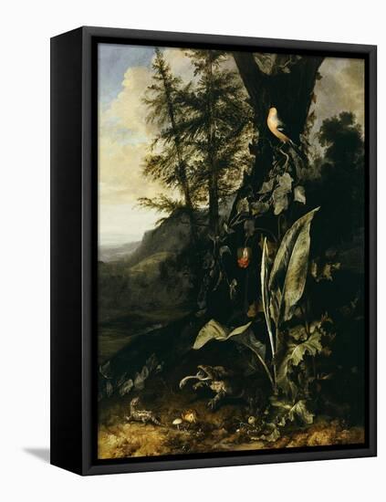 Forest Floor with a Toad and a Lizard, a Bullfinch on a Branch of Ivy Above and a Mountain Beyond-Giovanni Battista Salvi da Sassoferrato-Framed Premier Image Canvas