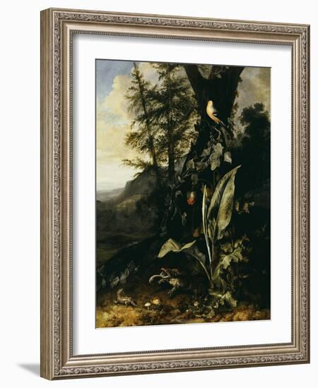 Forest Floor with a Toad and a Lizard, a Bullfinch on a Branch of Ivy Above and a Mountain Beyond-Giovanni Battista Salvi da Sassoferrato-Framed Giclee Print