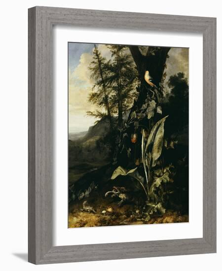 Forest Floor with a Toad and a Lizard, a Bullfinch on a Branch of Ivy Above and a Mountain Beyond-Giovanni Battista Salvi da Sassoferrato-Framed Giclee Print