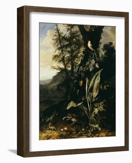 Forest Floor with a Toad and a Lizard, a Bullfinch on a Branch of Ivy Above and a Mountain Beyond-Giovanni Battista Salvi da Sassoferrato-Framed Giclee Print