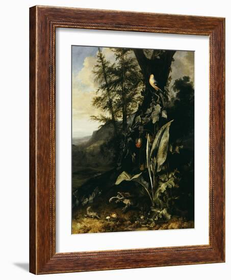 Forest Floor with a Toad and a Lizard, a Bullfinch on a Branch of Ivy Above and a Mountain Beyond-Giovanni Battista Salvi da Sassoferrato-Framed Giclee Print