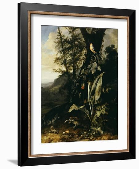 Forest Floor with a Toad and a Lizard, a Bullfinch on a Branch of Ivy Above and a Mountain Beyond-Giovanni Battista Salvi da Sassoferrato-Framed Giclee Print