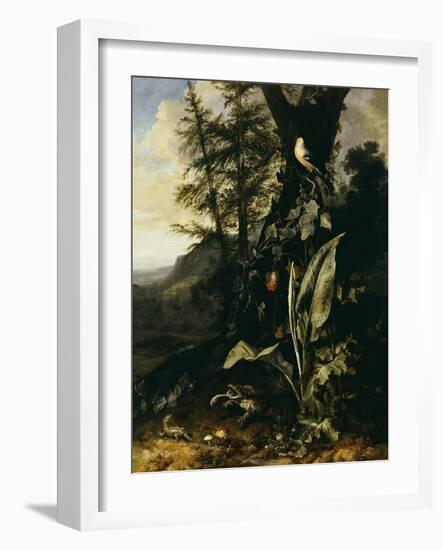 Forest Floor with a Toad and a Lizard, a Bullfinch on a Branch of Ivy Above and a Mountain Beyond-Giovanni Battista Salvi da Sassoferrato-Framed Giclee Print