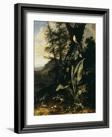 Forest Floor with a Toad and a Lizard, a Bullfinch on a Branch of Ivy Above and a Mountain Beyond-Giovanni Battista Salvi da Sassoferrato-Framed Giclee Print