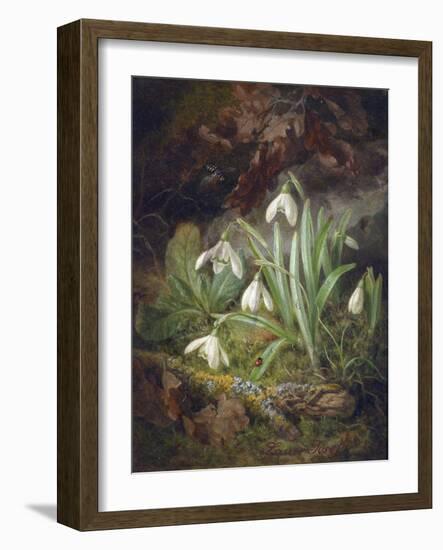 Forest Floor with Snowdrops-Josef Lauer-Framed Giclee Print