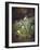 Forest Floor with Snowdrops-Josef Lauer-Framed Giclee Print