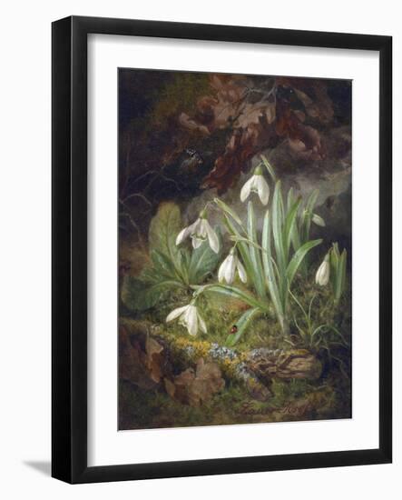 Forest Floor with Snowdrops-Josef Lauer-Framed Giclee Print