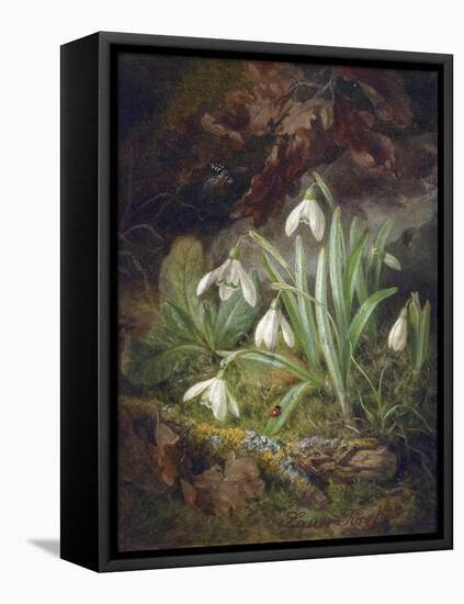 Forest Floor with Snowdrops-Josef Lauer-Framed Premier Image Canvas