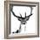 Forest Focus - Deer-Myriam Tebbakha-Framed Giclee Print