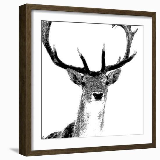 Forest Focus - Deer-Myriam Tebbakha-Framed Giclee Print