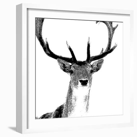 Forest Focus - Deer-Myriam Tebbakha-Framed Giclee Print