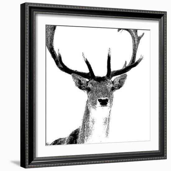 Forest Focus - Deer-Myriam Tebbakha-Framed Giclee Print