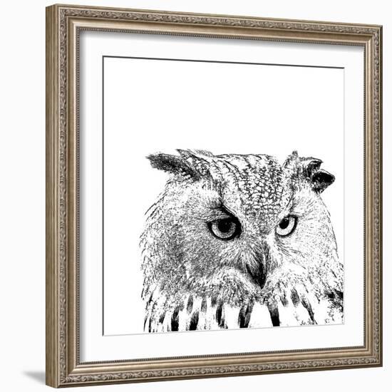 Forest Focus - Owl-Myriam Tebbakha-Framed Giclee Print