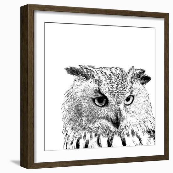 Forest Focus - Owl-Myriam Tebbakha-Framed Giclee Print