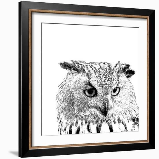 Forest Focus - Owl-Myriam Tebbakha-Framed Giclee Print