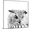 Forest Focus - Owl-Myriam Tebbakha-Mounted Giclee Print