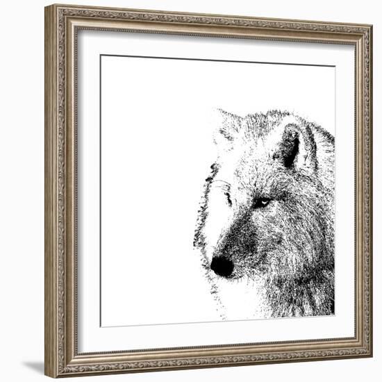 Forest Focus - Wolf-Myriam Tebbakha-Framed Giclee Print