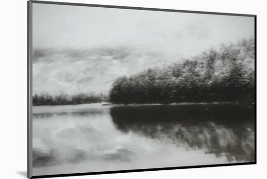 Forest Fog-Kim Curinga-Mounted Photographic Print