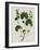 Forest Foliage on Linen IV-Vision Studio-Framed Art Print