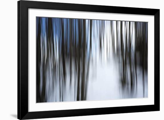 Forest Formation-Andreas Stridsberg-Framed Giclee Print