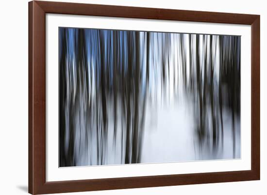 Forest Formation-Andreas Stridsberg-Framed Giclee Print