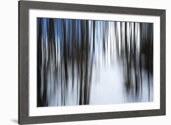 Forest Formation-Andreas Stridsberg-Framed Giclee Print