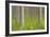 Forest Fresh-Staffan Widstrand-Framed Giclee Print