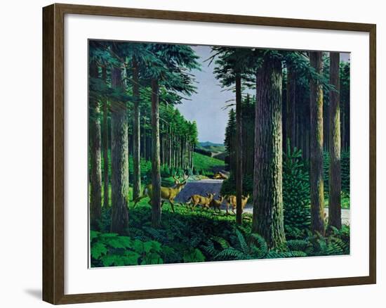 Forest Friends-Stan Galli-Framed Giclee Print